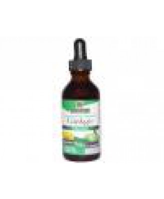 Ginkgo Alcohol-Free 500 mg (60 ml) - Nature's Answer