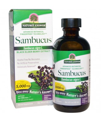 Nature's Answer, Sambucus, Schwarzer Holunder Berry Extrakt, 4 fl oz (120 ml)