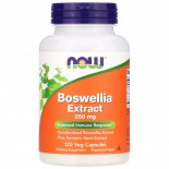 Boswellia Extract 250 mg (120 Veg Caps) - Now Foods