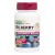 Herbal Actives - Bilberry Extended Release 100 mg (30 Tablets) - Nature's Plus